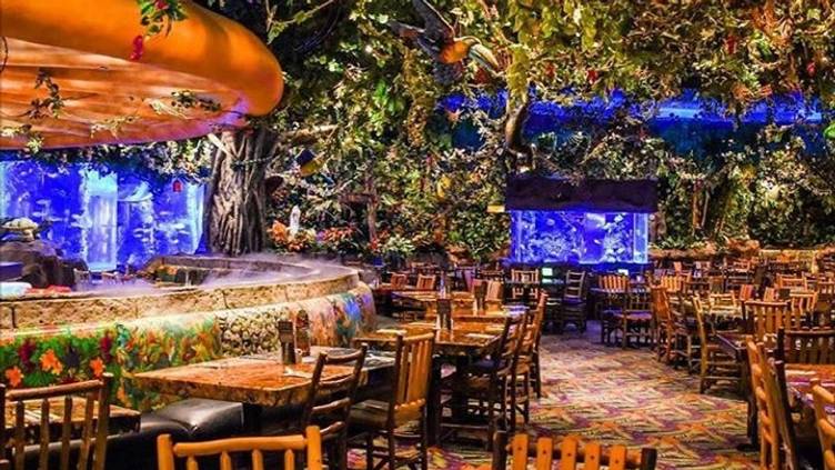 Rainforest Cafe at Woodfield Mall Closing – NBC Chicago