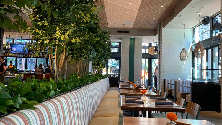 Blanco Cocina + Cantina – Fashion Valley  San Diego, California, United  States - Venue Report