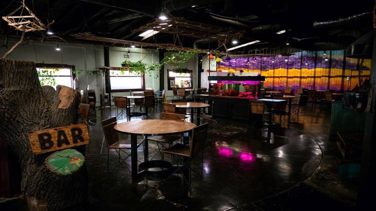 Tras Horizonte Tijuana, Baja California, Mexico Venue Report