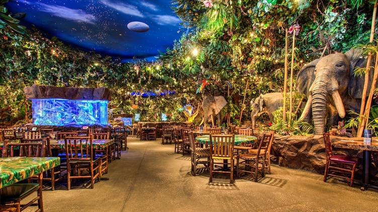 Rainforest Cafe Detroit Great Lakes Restaurant Auburn Hills Mi Opentable