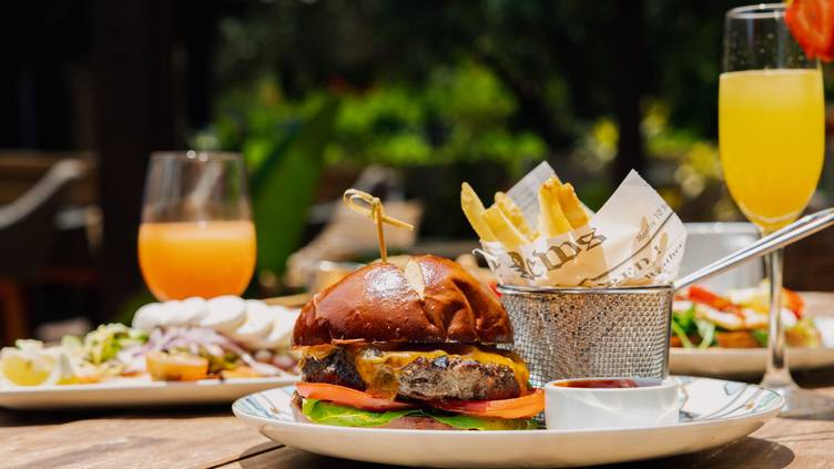 Greenfinch at Estancia La Jolla | San Diego, California, United States
