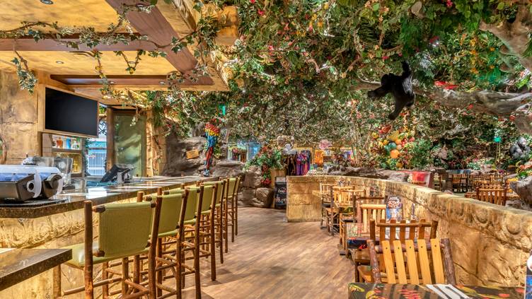 The Rainforest Cafe in the Mall of America in Minneapolis, MN 
