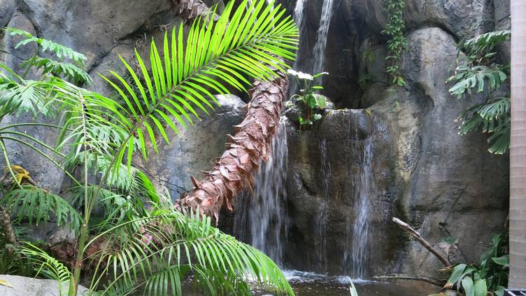 Albert's Restaurant - San Diego Zoo | San Diego, California, United ...