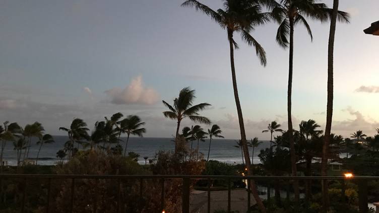 Stevenson's Sushi & Spirits | Koloa, Hawaii, United States - Venue Report