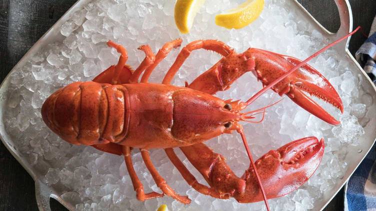 The Lobster Trap  Asheville, North Carolina, United States