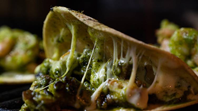 Tras Horizonte Tijuana, Baja California, Mexico Venue Report