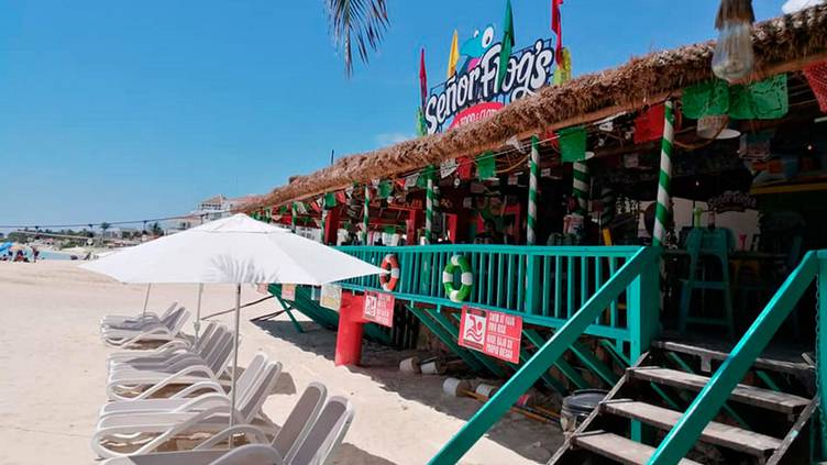 Señor Frog´s - Playa del Carmen Muelle Restaurant - Playa del Carmen, ROO |  OpenTable