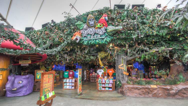 leopard in waiting - Picture of Rainforest Cafe, Orlando - Tripadvisor