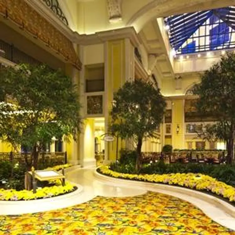 Terrace Beau Rivage Updated 2024, American Restaurant in Biloxi, MS