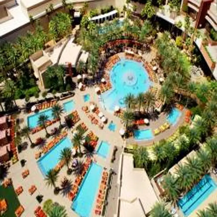 Red Rock Resort Pool, Las Vegas, NV