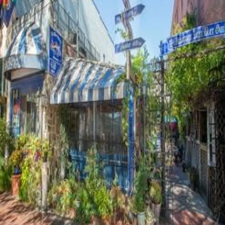 The Bier Garden Updated 2024, German Restaurant in Portsmouth, VA