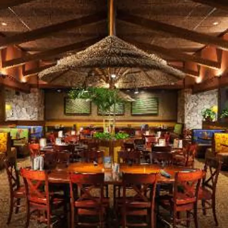 Bahama Breeze Tyngsboro Restaurant Updated 2023 Book your table now