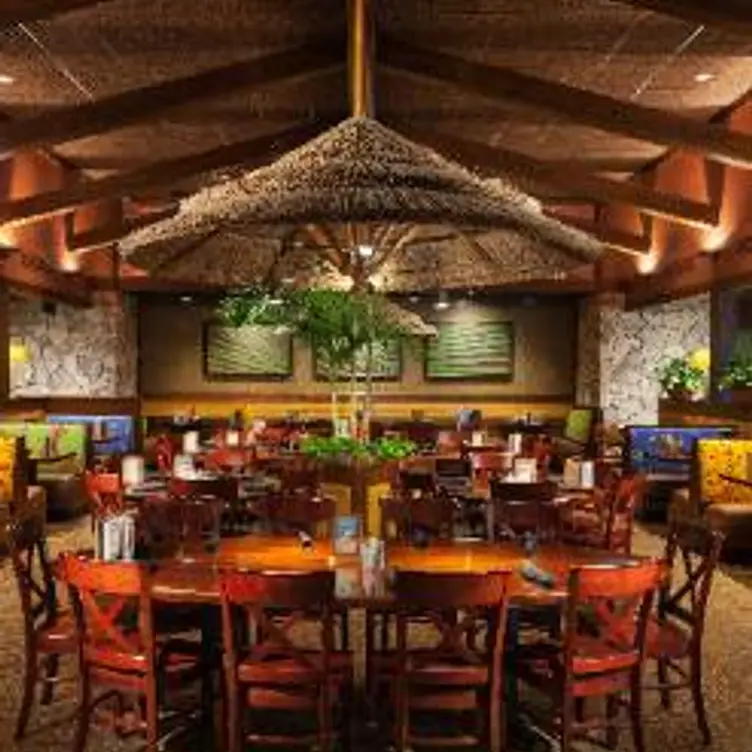 Bahama Breeze - Woodbridge - Woodbridge Center Restaurant - Woodbridge ...