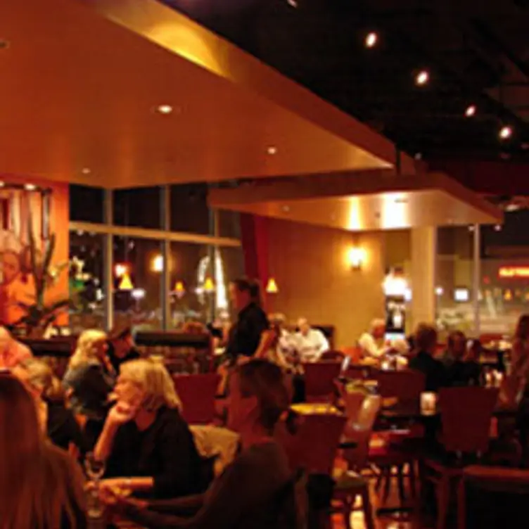 Kitchen Bar Updated 2024, American Restaurant in Abington, PA