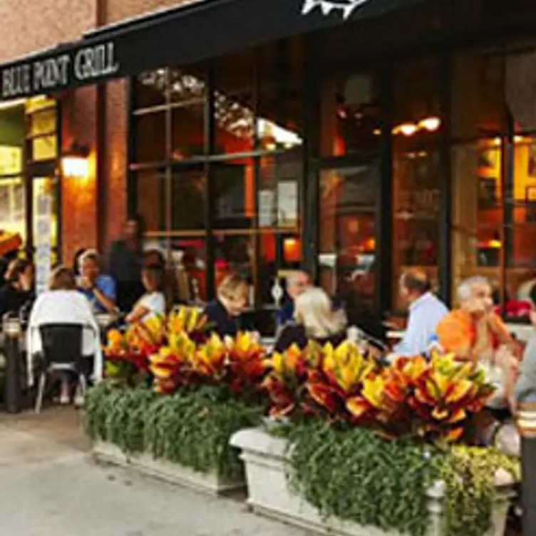 Blue Point Grill Updated 2024, Seafood Restaurant in Princeton, NJ