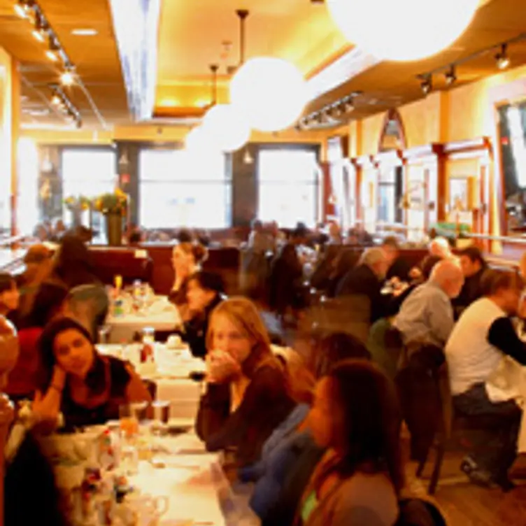 Aquitaine Chestnut Hill Updated 2024, French Restaurant in Chestnut