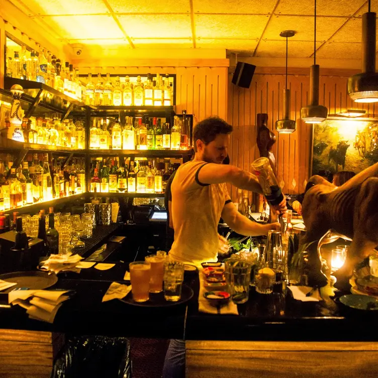 Tijuana Picnic Restaurant New York, NY OpenTable