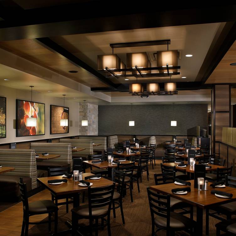 open table coopers hawk