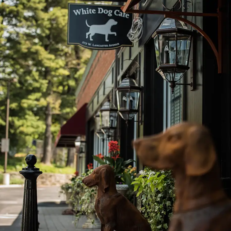 White Dog Cafe-Haverford, Haverford, PA