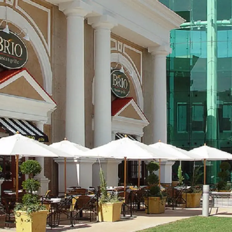 Brio Italian Grille – Millenia Restaurant - Orlando, , FL | OpenTable