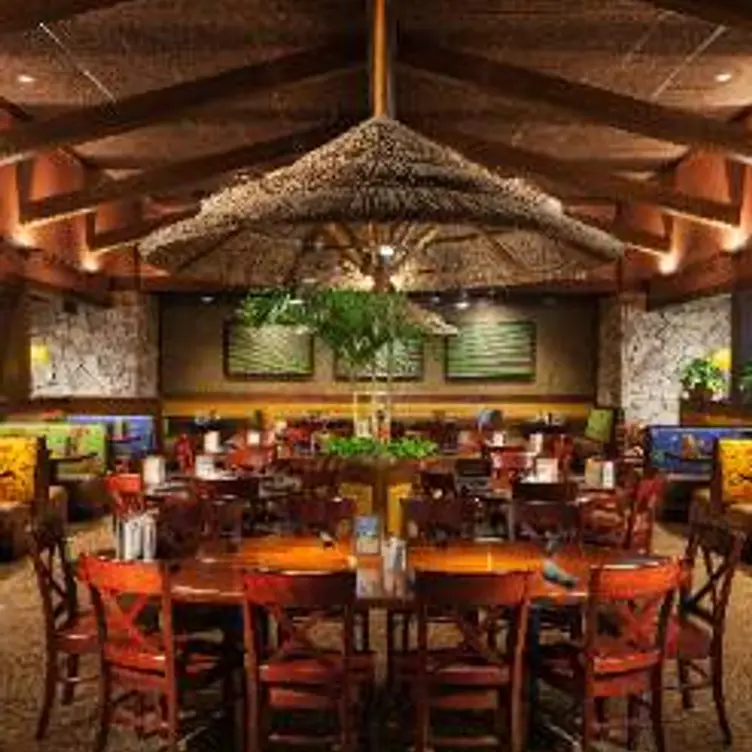 Bahama Breeze Tom's River Restaurant Toms River, NJ OpenTable