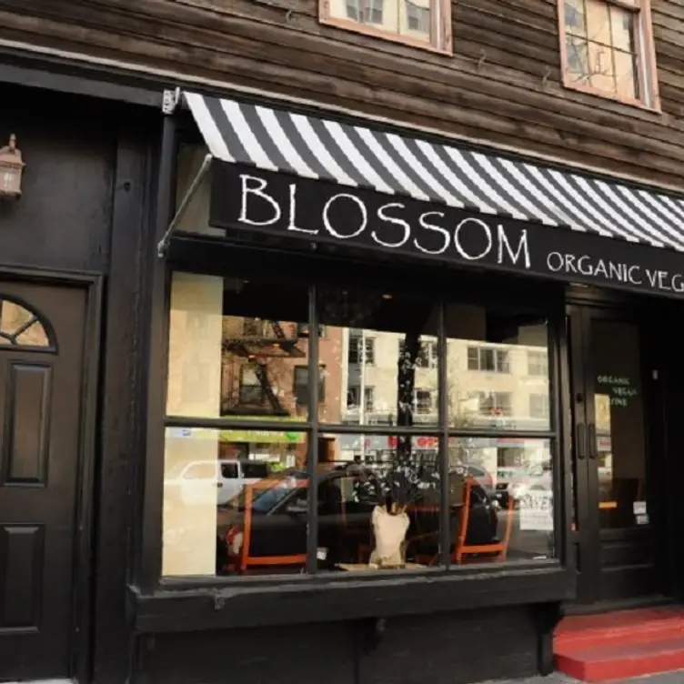 Blossom- Chelsea, New York, NY