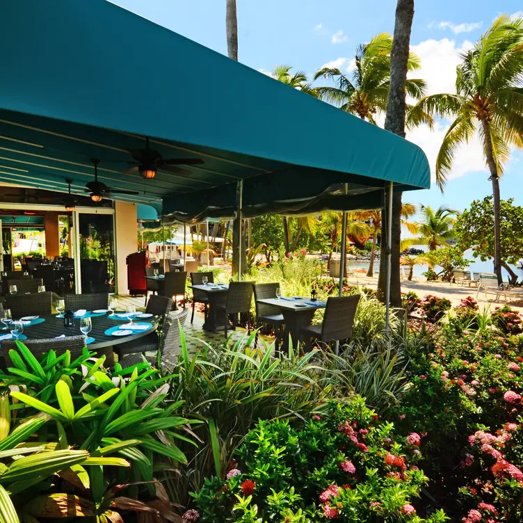 Caribbean Fish Market, St. Thomas, VI