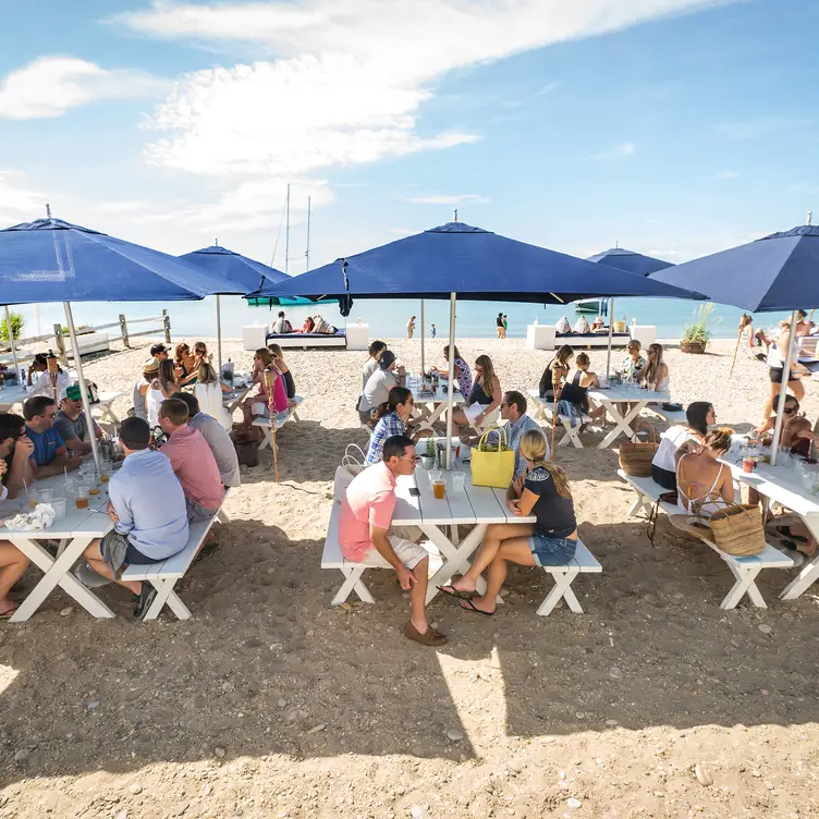 Navy Beach, Montauk, NY