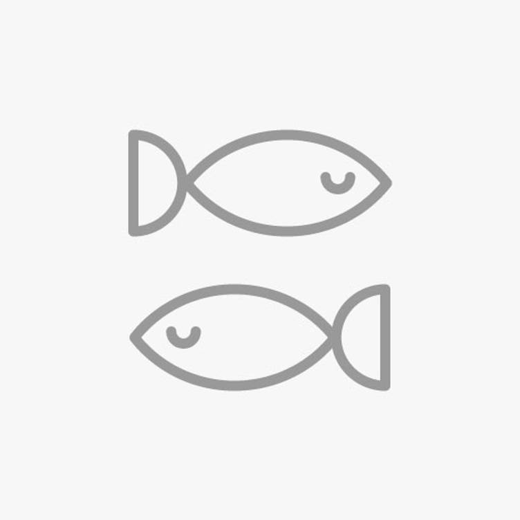 zitrone clipart fish