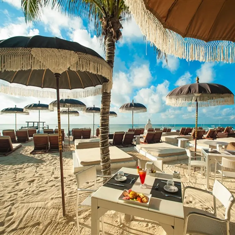 Indigo Beach Club, Playa del Carmen, ROO