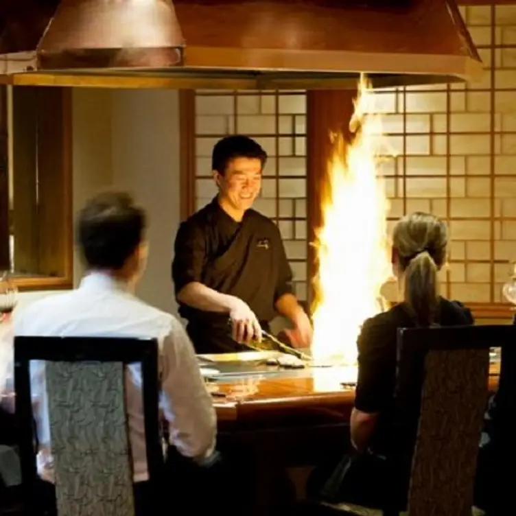 Shiki Japanese Restaurant Updated 2024, Japanese Restaurant in Adelaide, AUSA