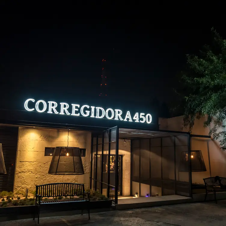 Corregidora 450, San Pedro Garza García, NLE
