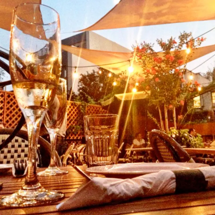 Restaurant Patsy's Pizzaria - Brooklyn, , NY | OpenTable