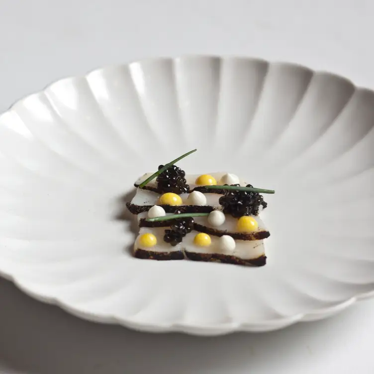 Scallop - Oriole, Chicago, IL