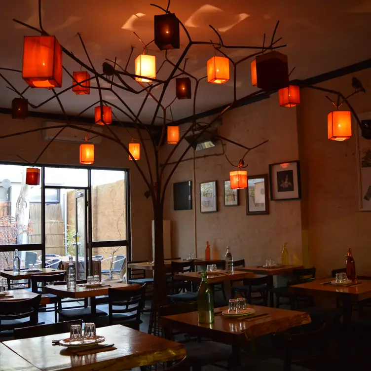 wabi-sabi-garden-updated-2024-japanese-restaurant-in-st-kilda-au-vic