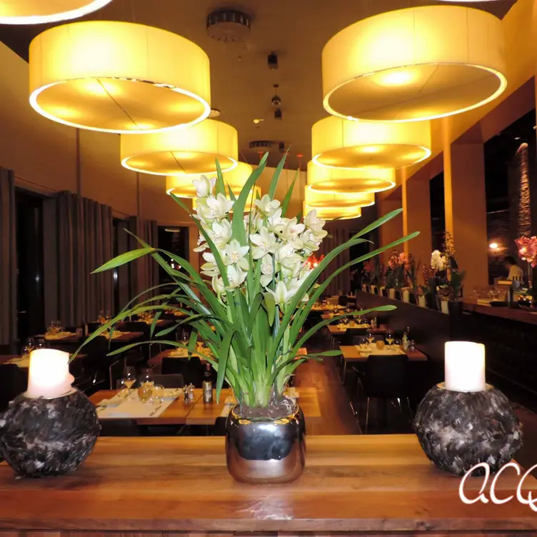 ACQUA PAZZA, Dortmund, NW