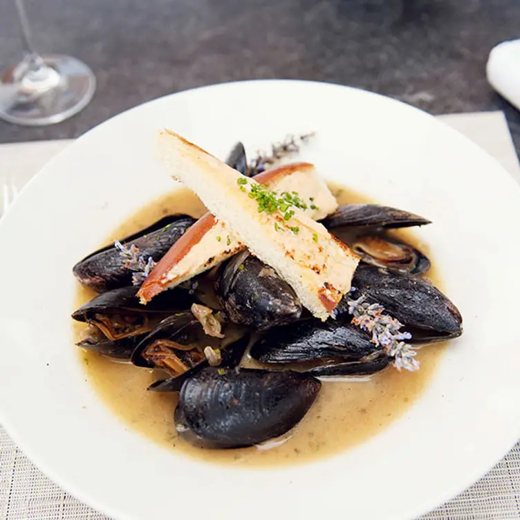 Food Food - The Lawn Terrace, Newport, RI