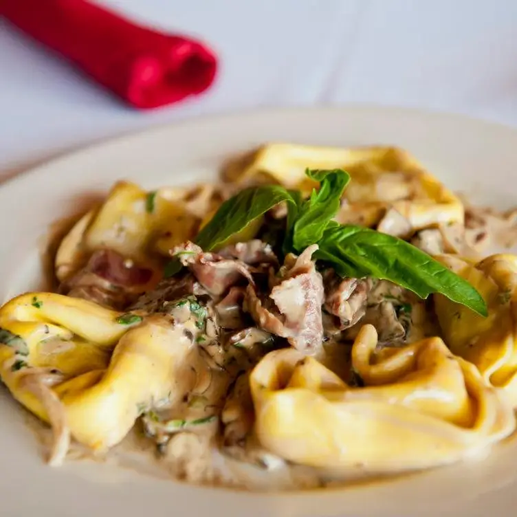 Gina's Italian Kitchen Friendswood Top Rated Restaurant in