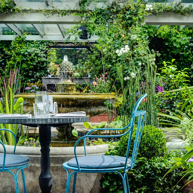 The Ivy Chelsea Garden  - The Ivy Chelsea Garden, London, ENG