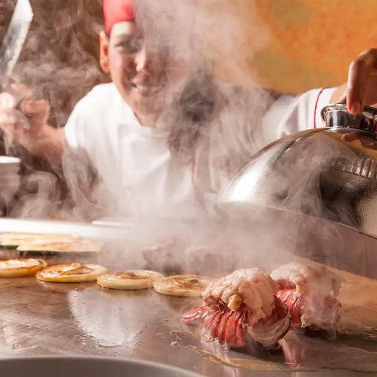Chef Cooking Chef Cooking - Benihana - Key West, FL, Key West, FL