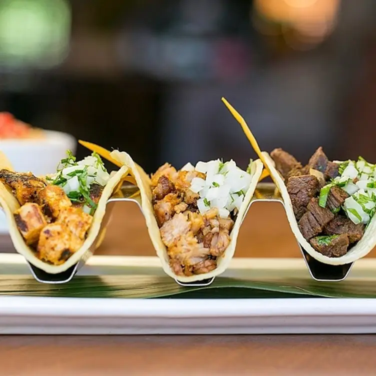 El Torito Monterey Restaurant Monterey, , CA OpenTable