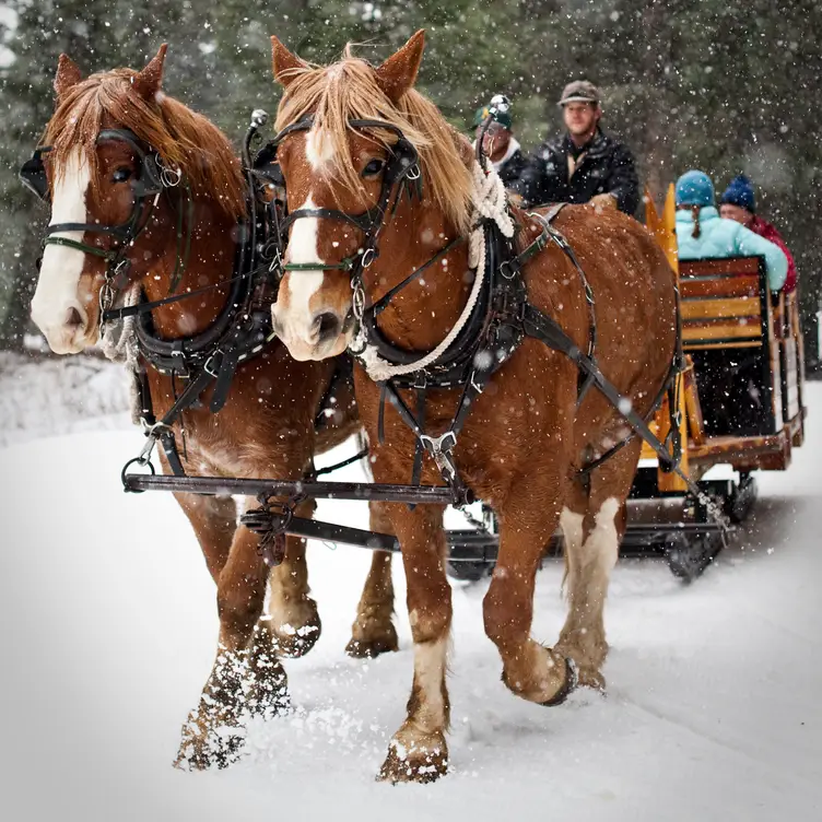 Sleigh Ride at Lone Mountain Ranch - Updated 2024, American Restaurant ...