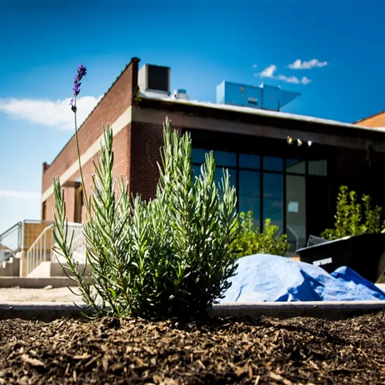 Table X Restaurant Salt Lake City, UT OpenTable