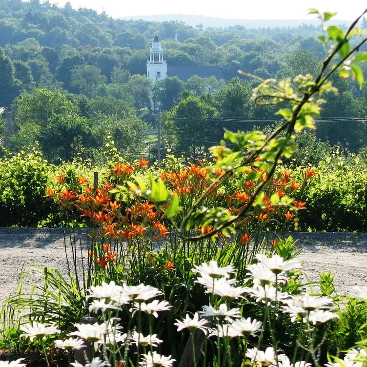 J's at Nashoba Winery Restaurant Bolton, MA OpenTable