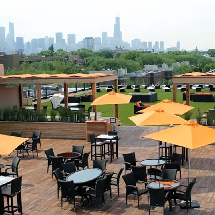 Harvest Restaurant at Lakeshore Sport & Fitness, Chicago, IL