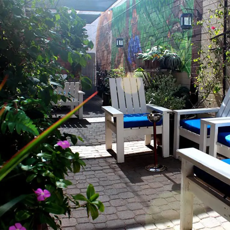 The Breadfruit & Rum Bar Updated 2024, Caribbean Restaurant in Phoenix, AZ