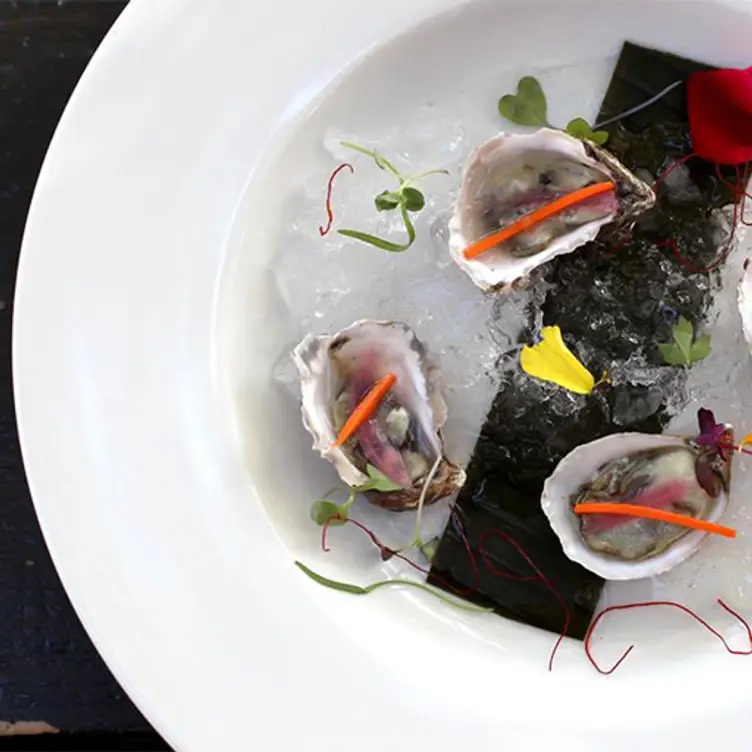 The Breadfruit & Rum Bar Restaurant Phoenix, AZ OpenTable