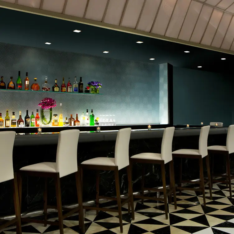 Bar Lounge - Ambassador Grill, New York, NY