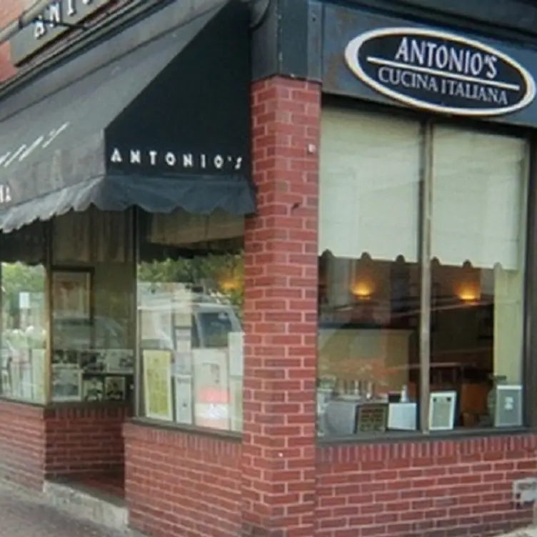Antonio's Cucina - Antonio's Cucina Italiana, Boston, MA