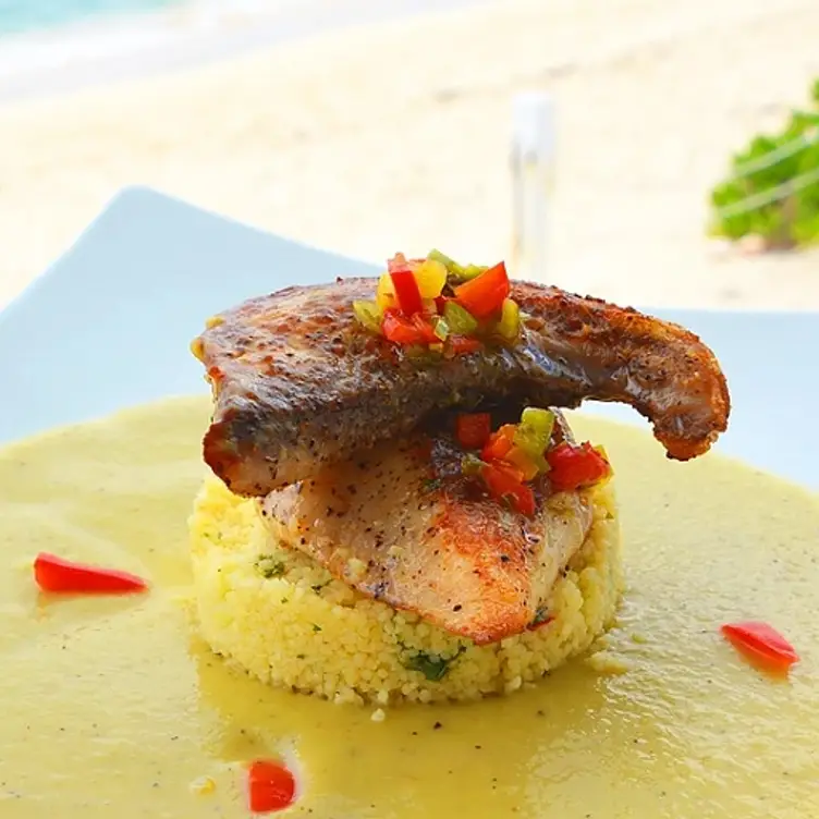 Blue Sail Restaurant & Bar Nassau, New Providence OpenTable